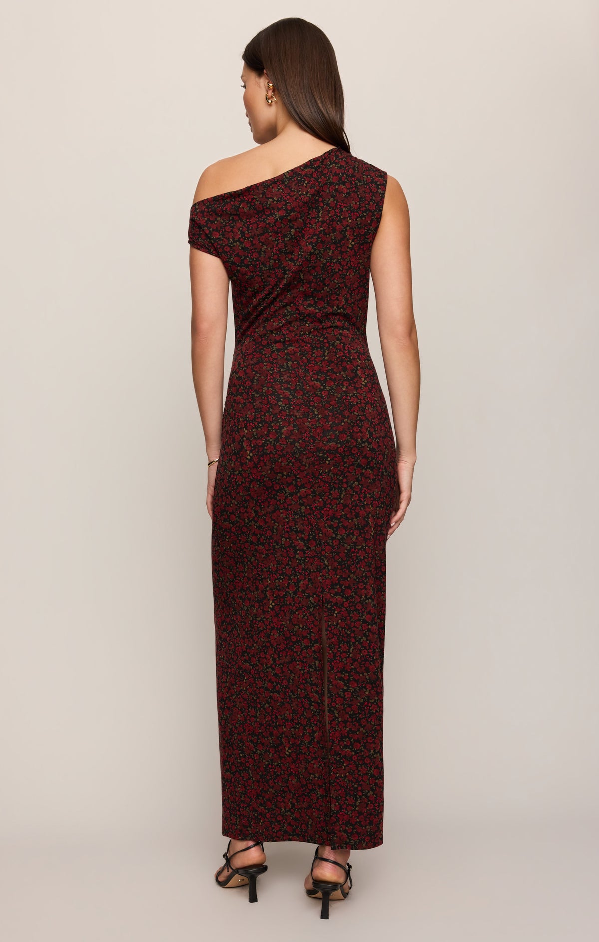 Z SUPPLY Fremont Dani Floral Maxi Dress - Red Dahlia