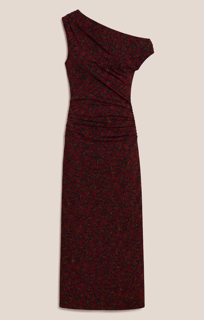 Z SUPPLY Fremont Dani Floral Maxi Dress - Red Dahlia