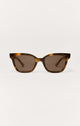 Brown Tortoise - Brown