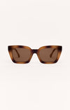 Brown Tortoise - Brown