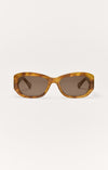 Brown Tortoise - Brown