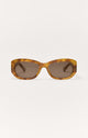 Brown Tortoise - Brown