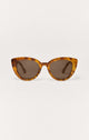 Brown Tortoise - Brown
