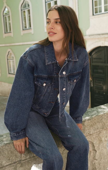 Z SUPPLY Daily Sherpa Denim Jacket - Hush