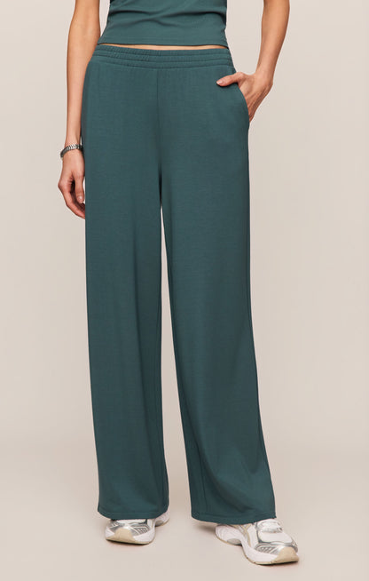 Z SUPPLY In Transit Modal Pant
